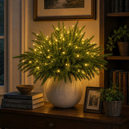 Illuminated evergreen pine displayed on a console; vase not included